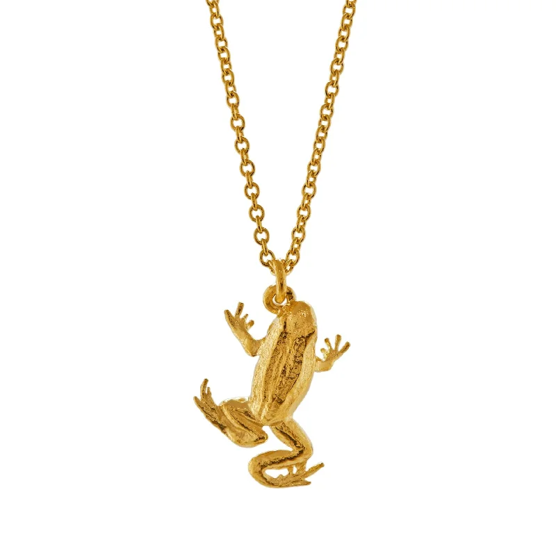 Sparkling Silver Pendant Necklaces-Alex Monroe Frog Necklace